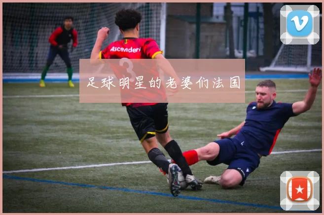 足球明星的老婆们法国