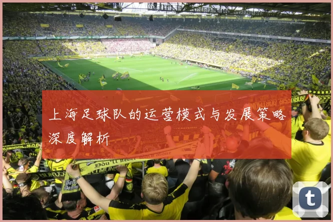 上海足球队的运营模式与发展策略深度解析