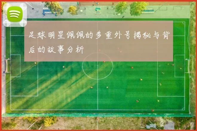 足球明星佩佩的多重外号揭秘与背后的故事分析