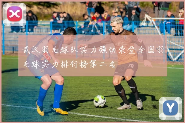 武汉羽毛球队实力强劲荣登全国羽毛球实力排行榜第二名