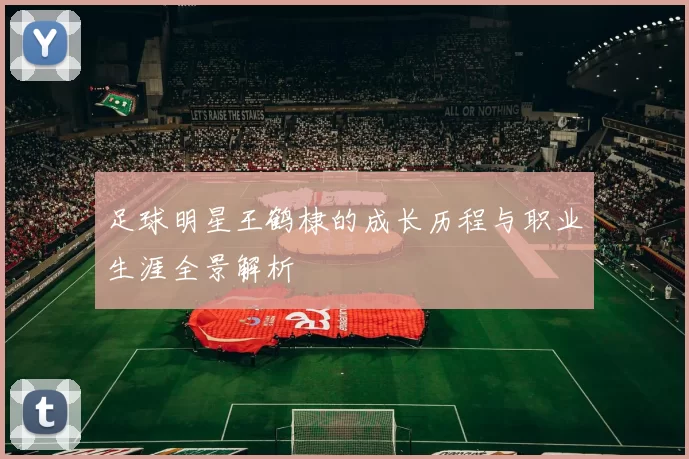 足球明星王鹤棣的成长历程与职业生涯全景解析