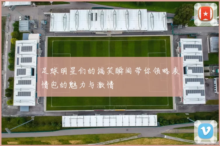 足球明星们的搞笑瞬间带你领略表情包的魅力与激情