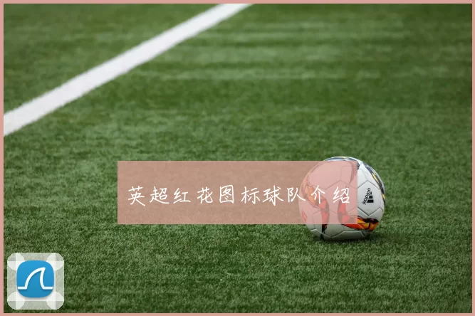 英超红花图标球队介绍