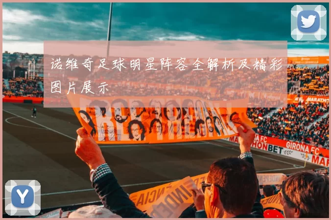 诺维奇足球明星阵容全解析及精彩图片展示