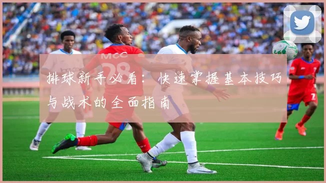 排球新手必看：快速掌握基本技巧与战术的全面指南