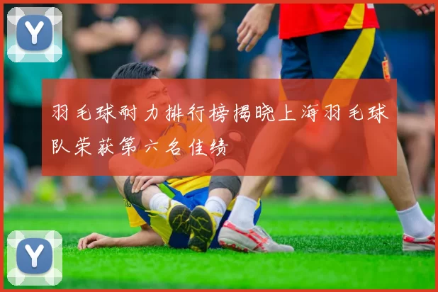 羽毛球耐力排行榜揭晓上海羽毛球队荣获第六名佳绩