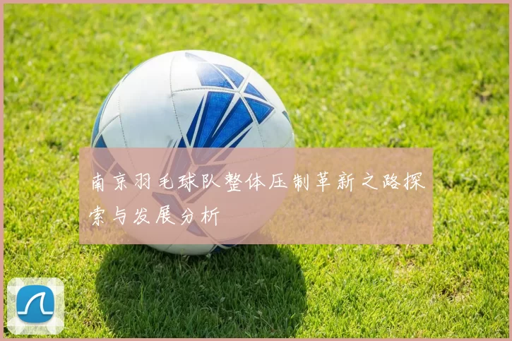 南京羽毛球队整体压制革新之路探索与发展分析