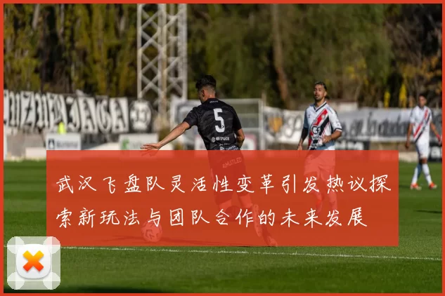 武汉飞盘队灵活性变革引发热议探索新玩法与团队合作的未来发展