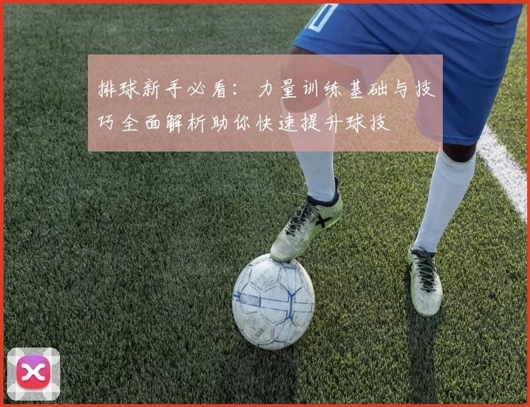 排球新手必看：力量训练基础与技巧全面解析助你快速提升球技