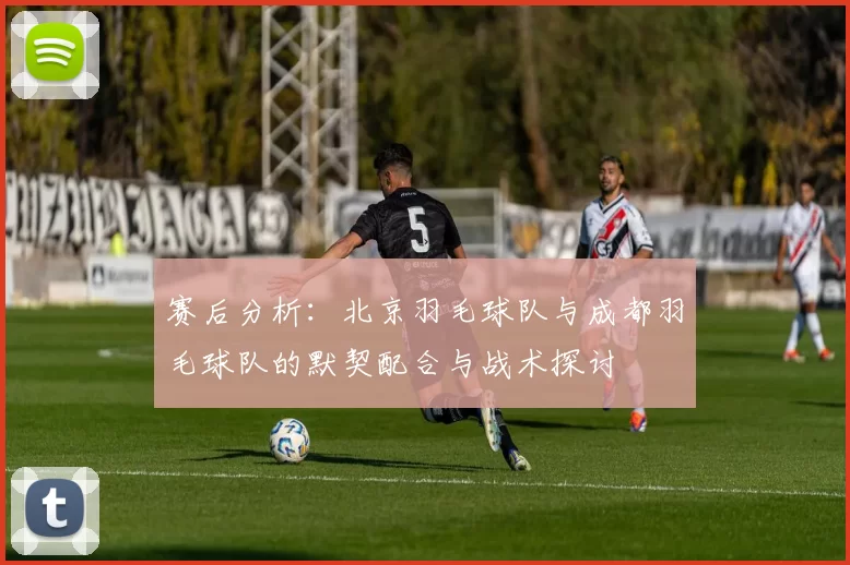 赛后分析：北京羽毛球队与成都羽毛球队的默契配合与战术探讨