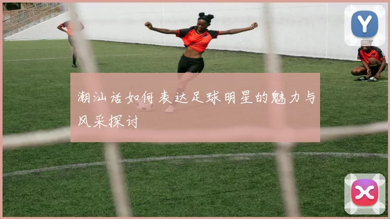 潮汕话如何表达足球明星的魅力与风采探讨