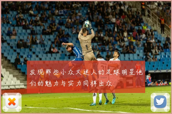 发现那些小众又迷人的足球明星他们的魅力与实力同样出众