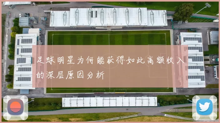 足球明星为何能获得如此高额收入的深层原因分析
