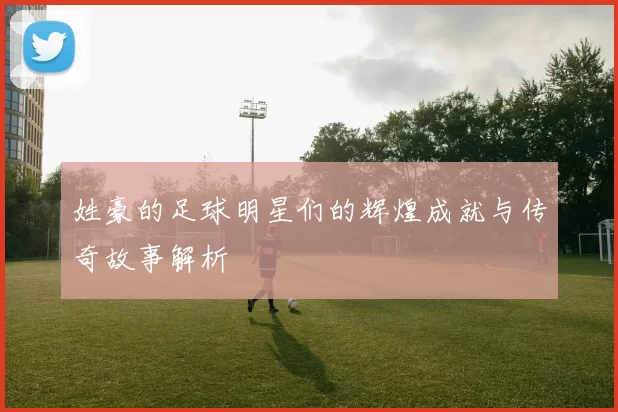 姓豪的足球明星们的辉煌成就与传奇故事解析