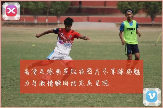 高清足球明星贴花图片尽享球场魅力与激情瞬间的完美呈现
