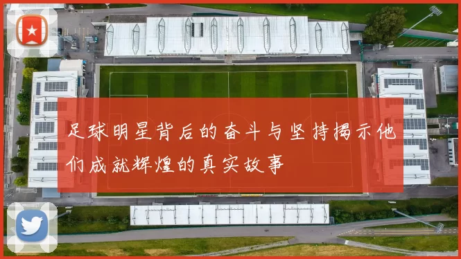 足球明星背后的奋斗与坚持揭示他们成就辉煌的真实故事