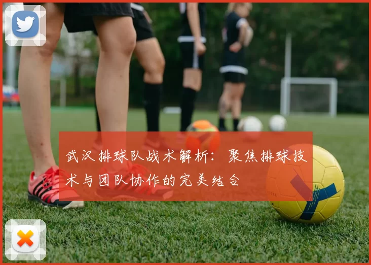 武汉排球队战术解析：聚焦排球技术与团队协作的完美结合