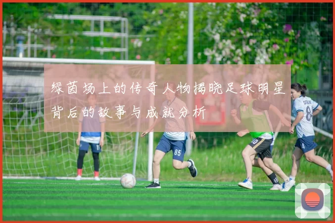绿茵场上的传奇人物揭晓足球明星背后的故事与成就分析