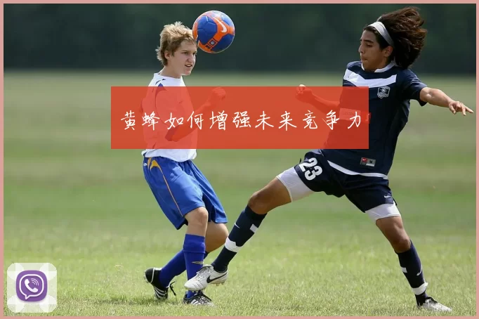 黄蜂如何增强未来竞争力