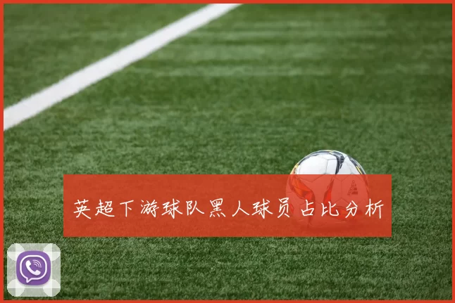 英超下游球队黑人球员占比分析