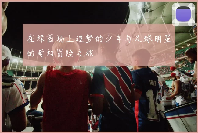 在绿茵场上追梦的少年与足球明星的奇幻冒险之旅