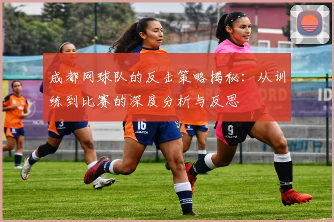 成都网球队的反击策略揭秘：从训练到比赛的深度分析与反思