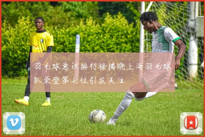 羽毛球意识排行榜揭晓上海羽毛球队荣登第七位引发关注