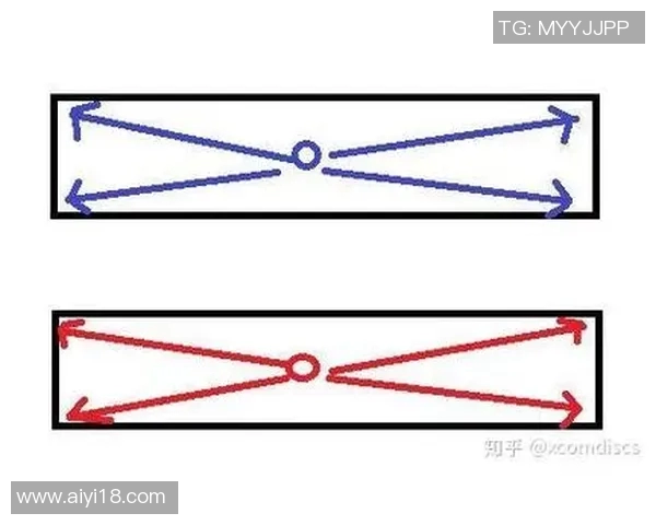 广州飞盘队区域防守战术解析与实战应用探讨