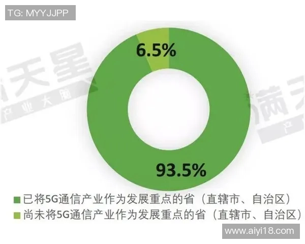 武汉排球队在洲际杯中的实力展现与未来发展潜力分析