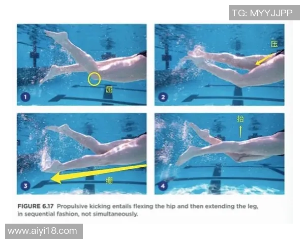 自由泳技巧全面解析 提升泳姿速度与耐力的关键训练方法