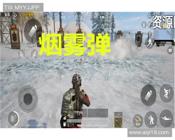 和平精英战术解析：深入探讨LNG的区域防守策略与执行细节